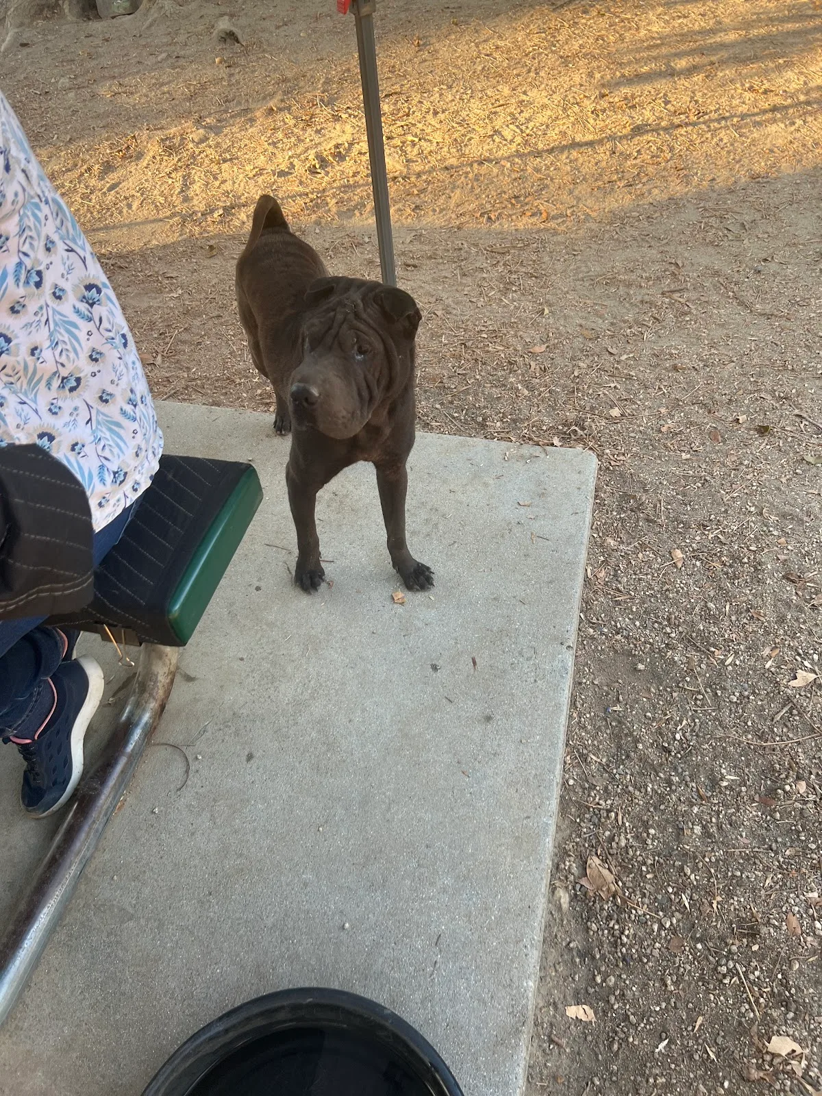 County of Los Angeles Department of Animal Care and Control
