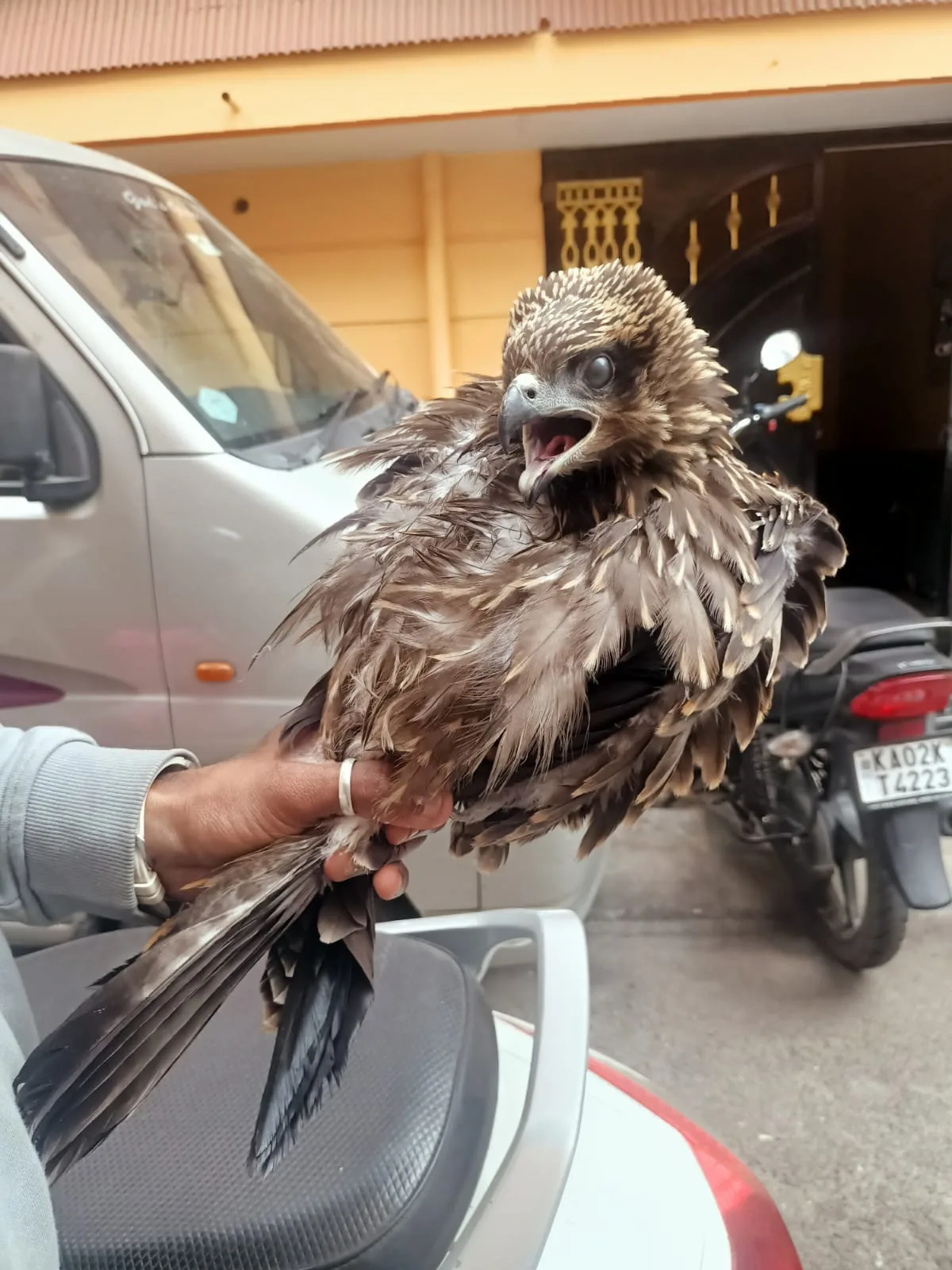 PfA Wildlife Hospital