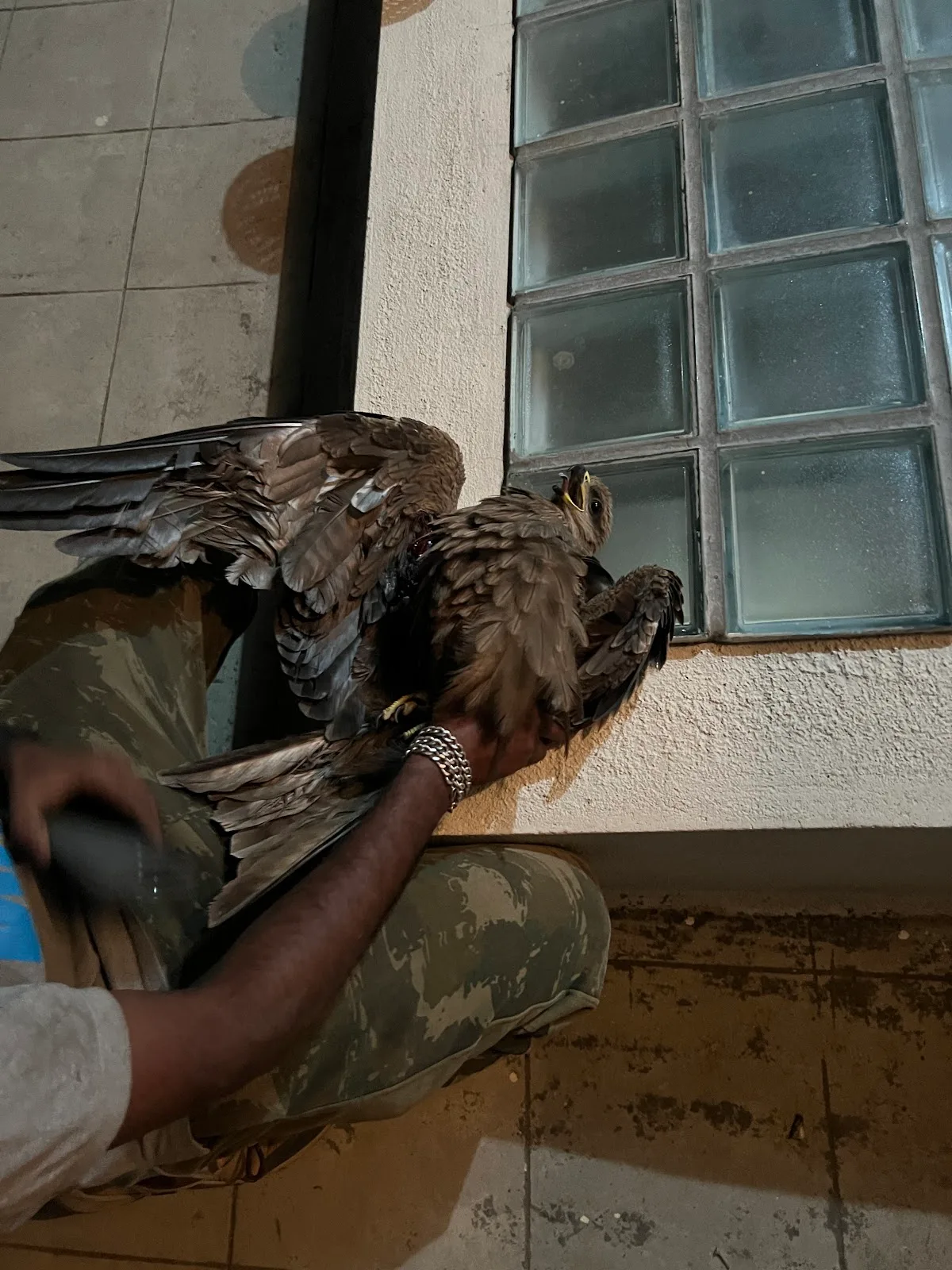 PfA Wildlife Hospital