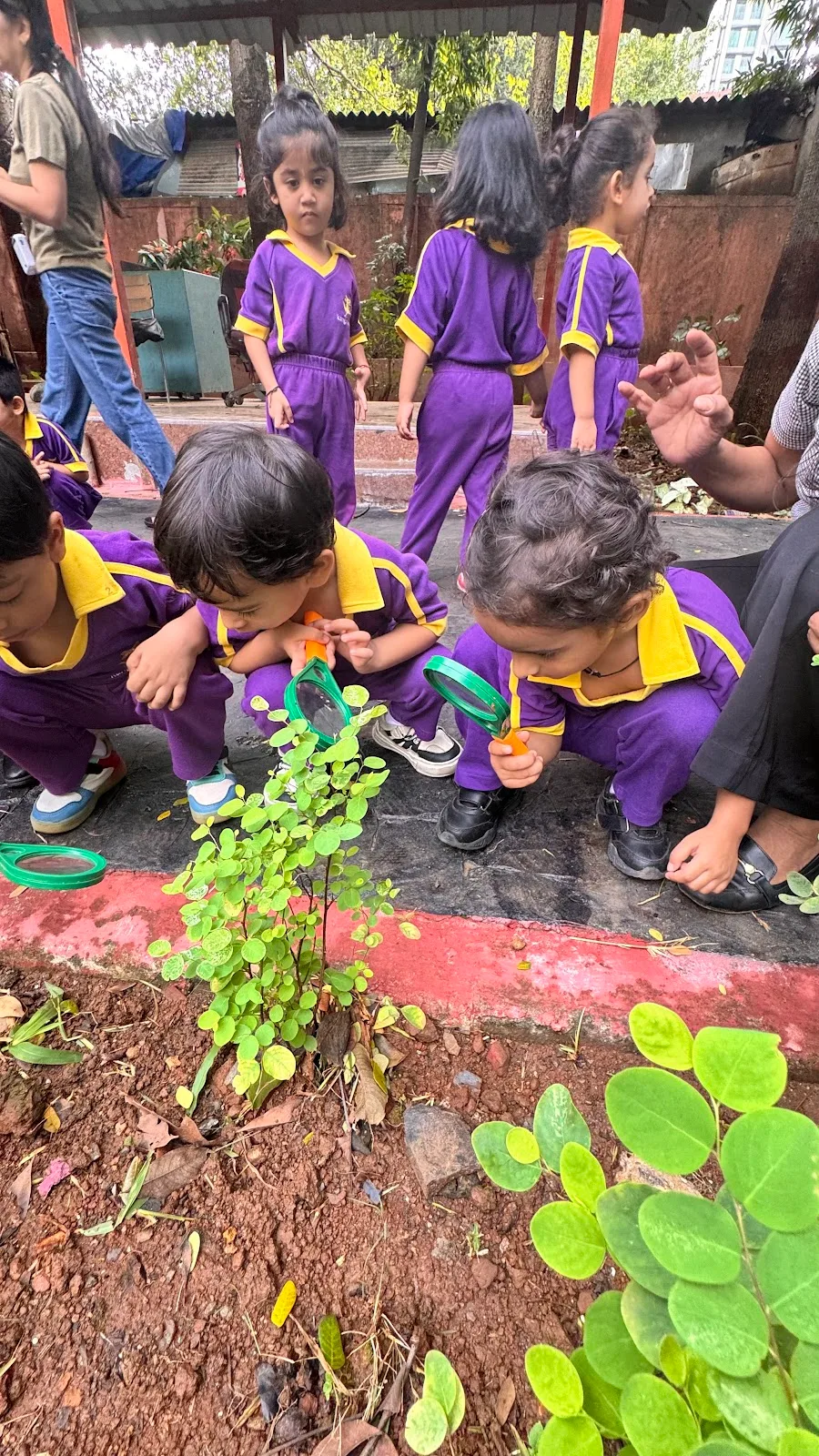 Kangaroo Kids International Preschool in Parel, Mumbai