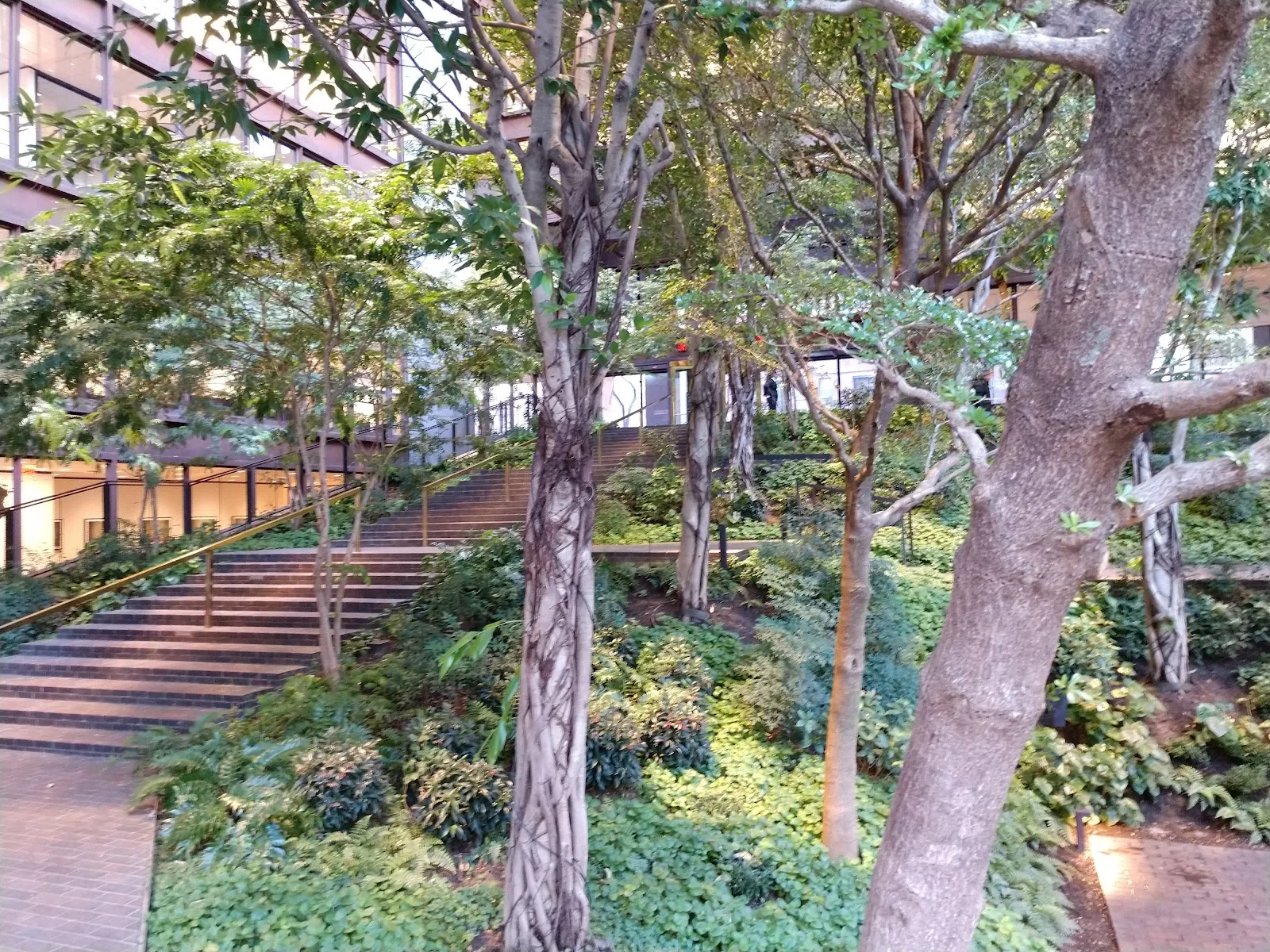 Ford Foundation Center for Social Justice