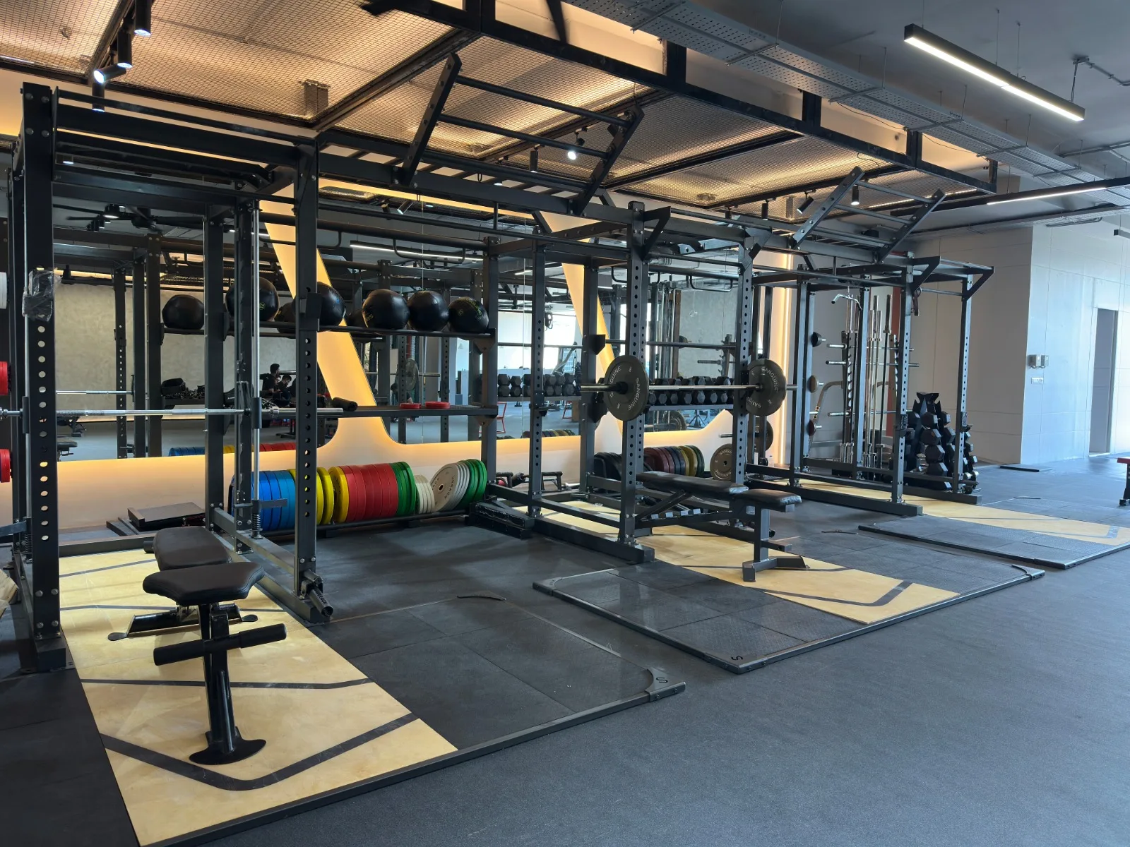 Invictus Performance Lab Pvt Ltd