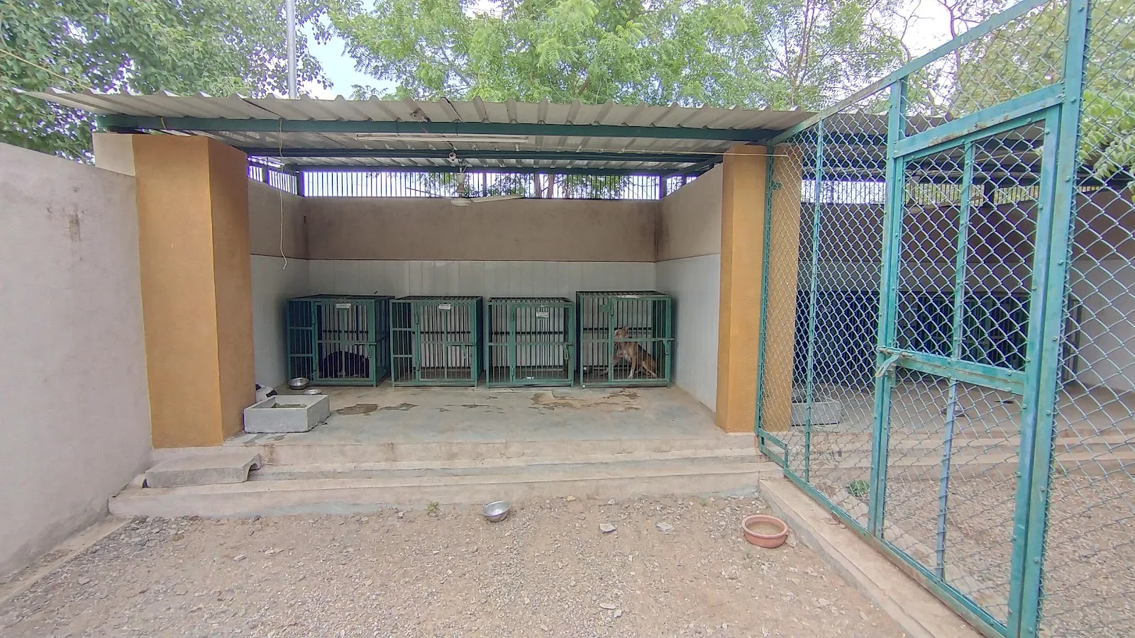 GOAL FOUNDATION Rajkot