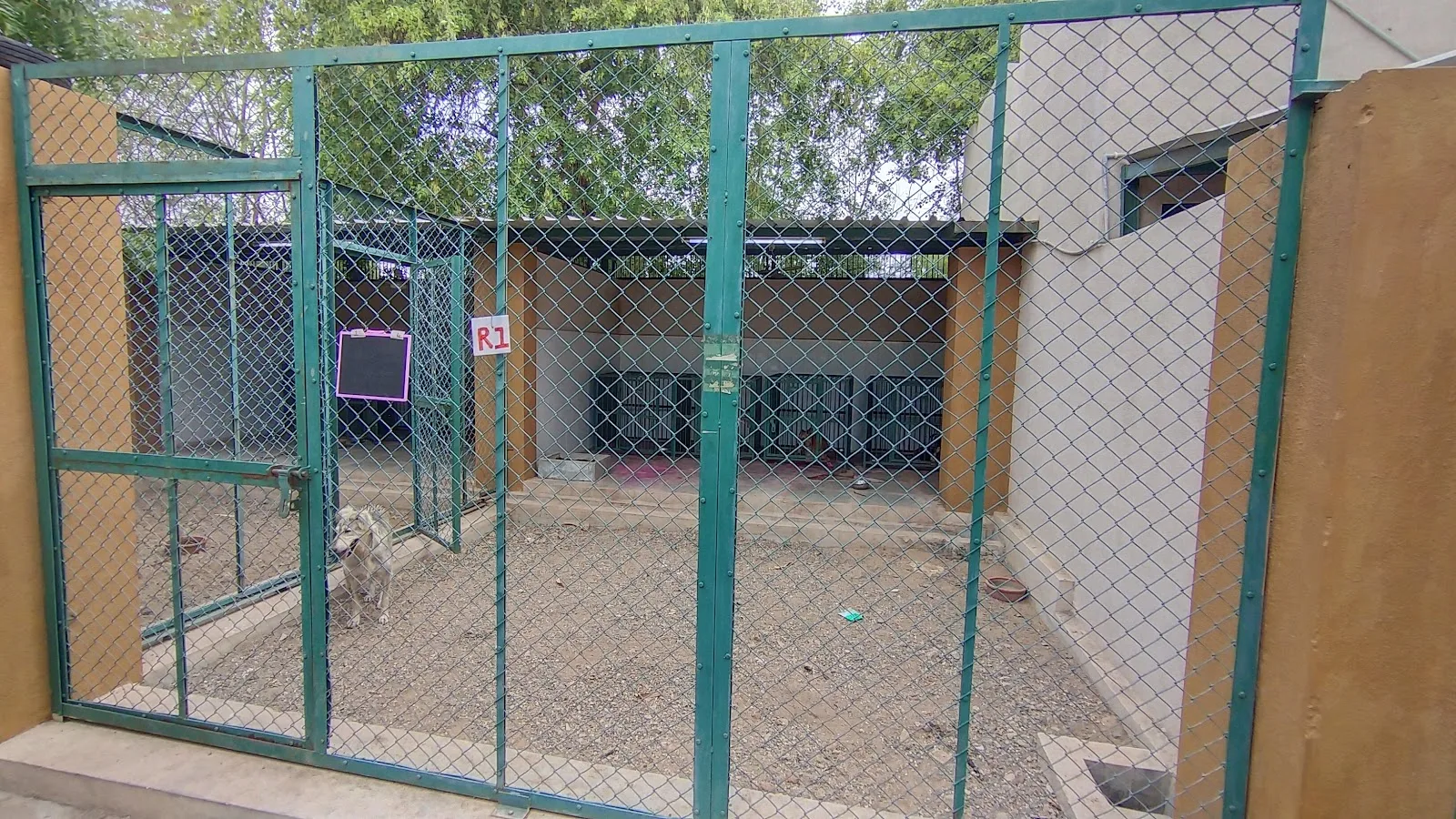 GOAL FOUNDATION Rajkot