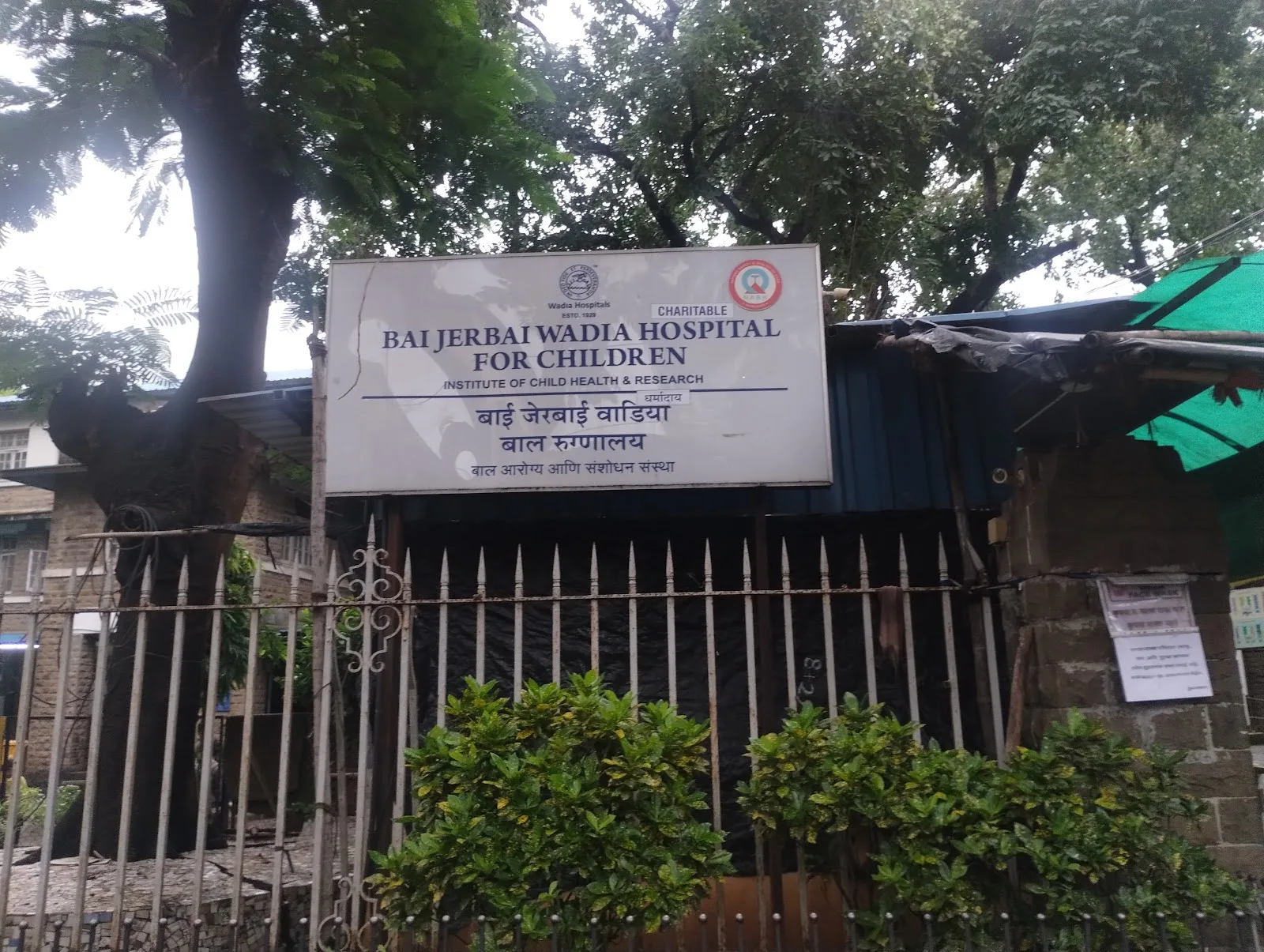 BAI JERBAI WADIA HOSPITALS FOR CHILDREN