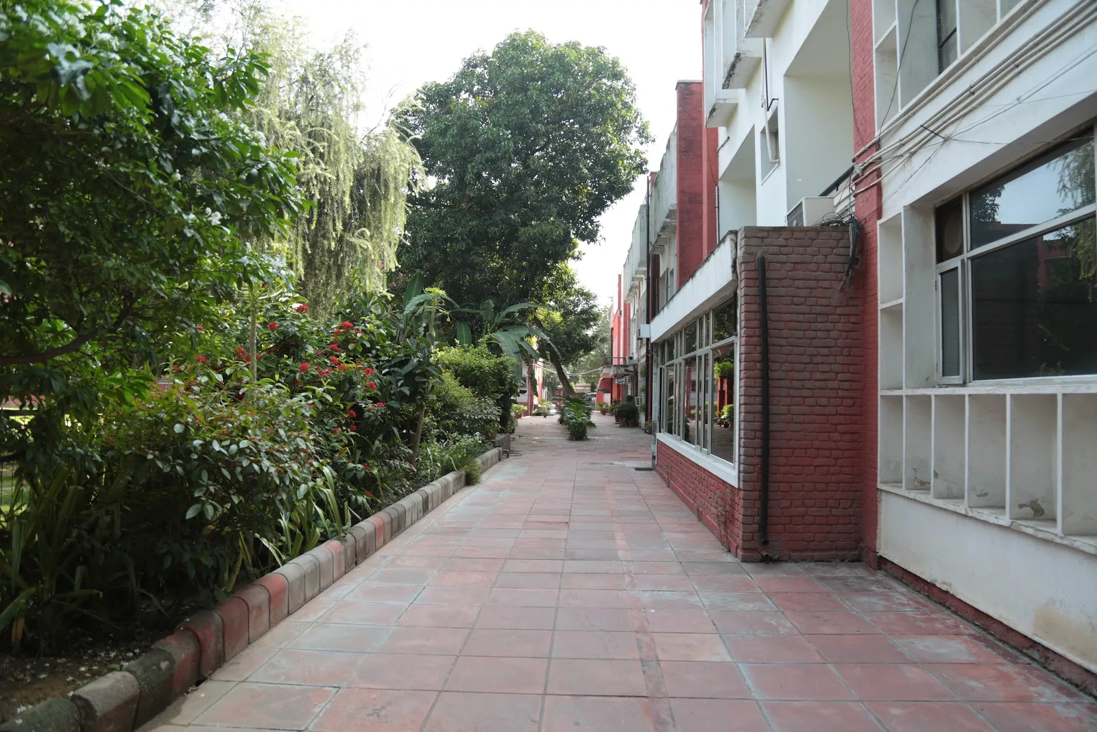 Blue Triangle Family Hostel YWCA OF DELHI