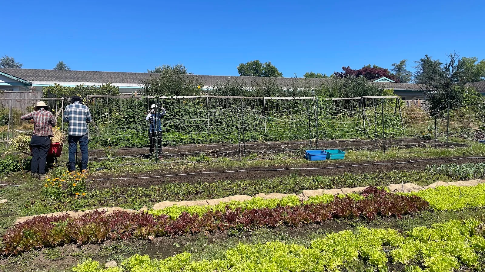 Farmers on 57th