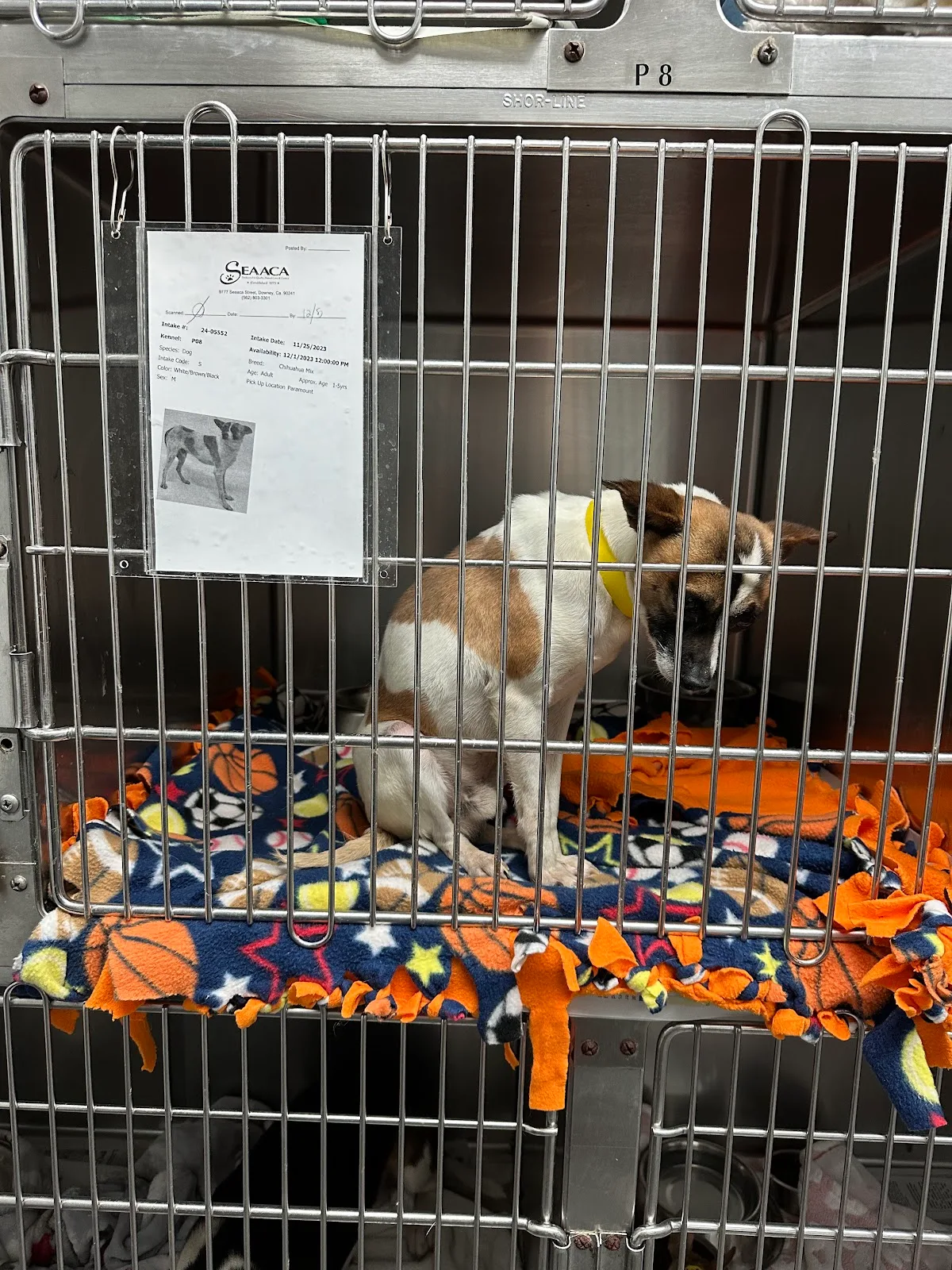 County of Los Angeles Department of Animal Care and Control - Downey Animal Care Center