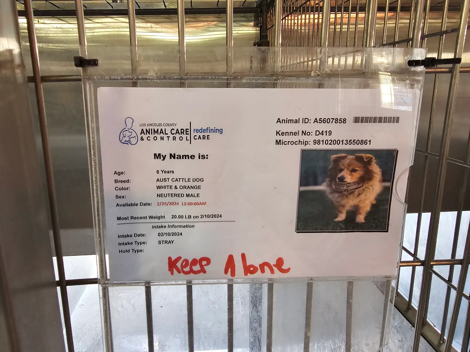 County of Los Angeles Department of Animal Care and Control - Downey Animal Care Center