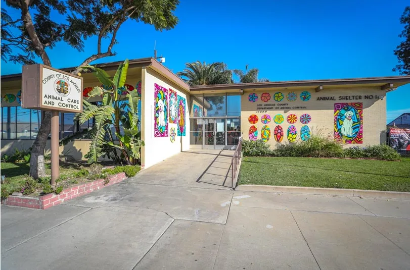 County of Los Angeles Department of Animal Care and Control - Downey Animal Care Center
