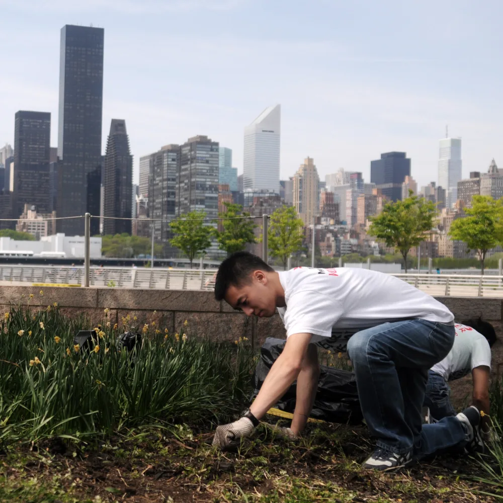 New York Cares
