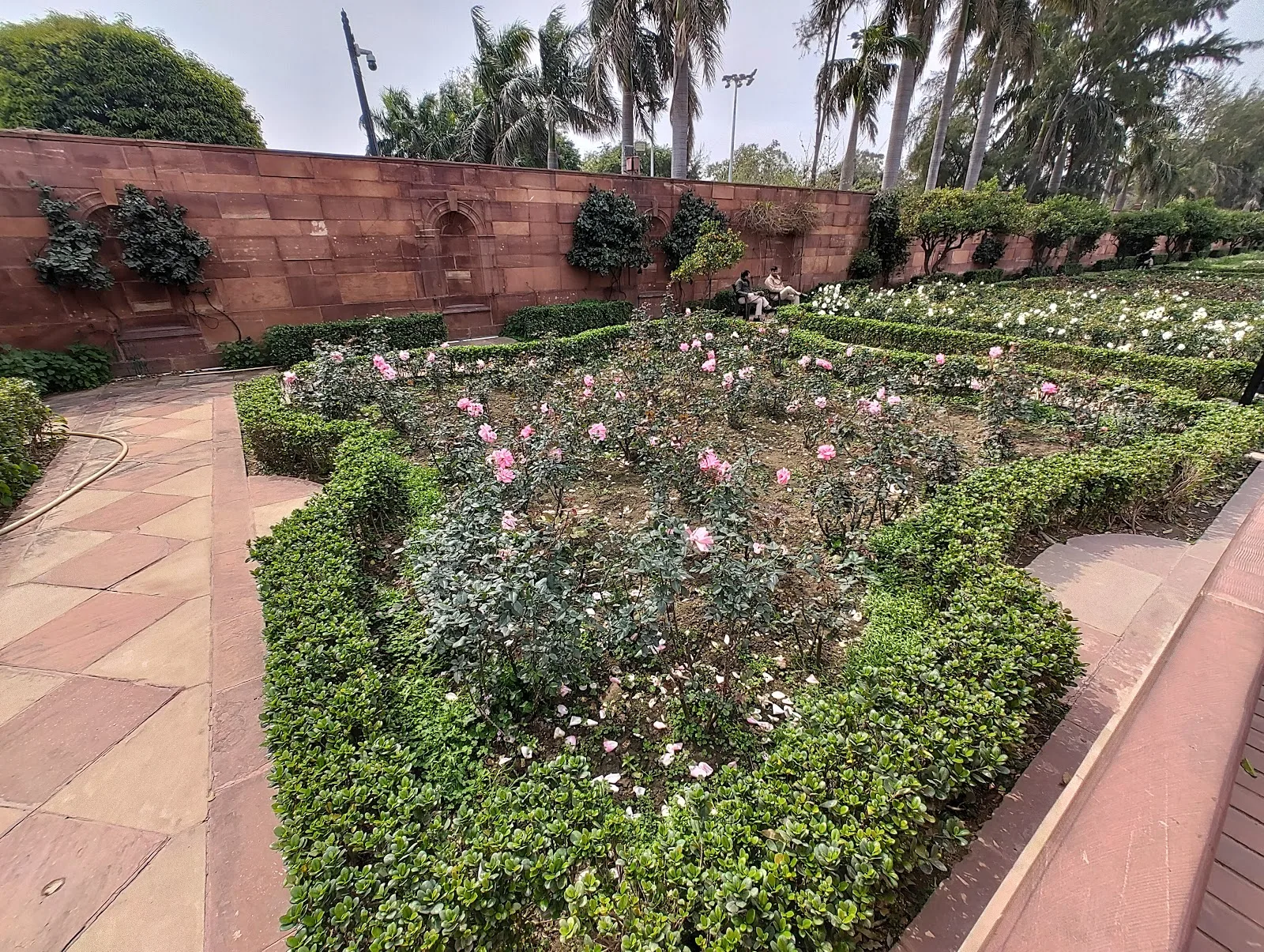 Rose Garden