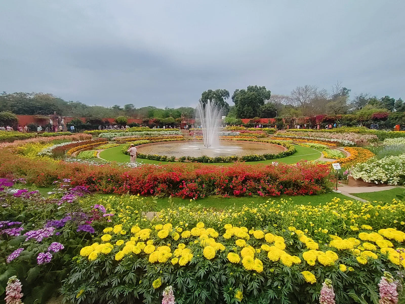 Rose Garden