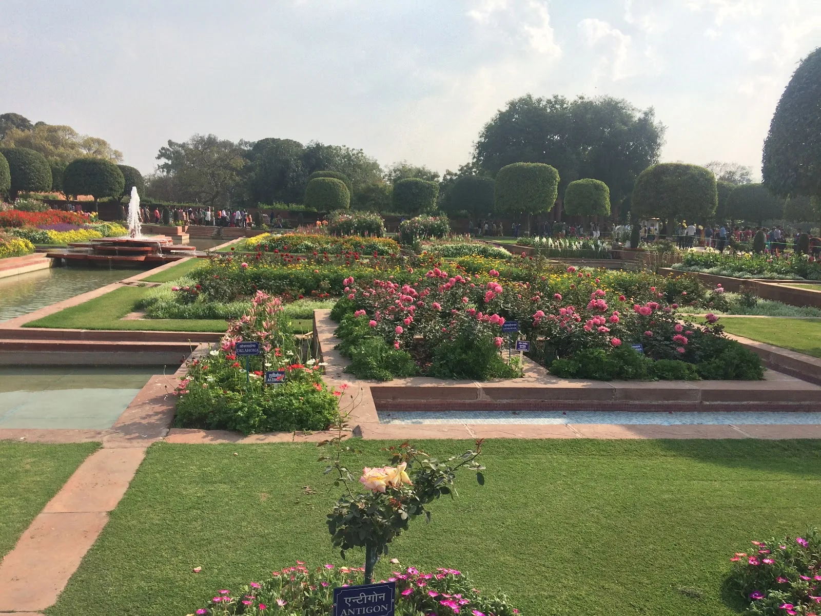 Rose Garden