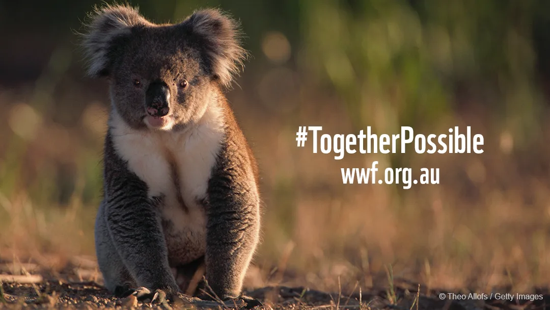 WWF-Australia