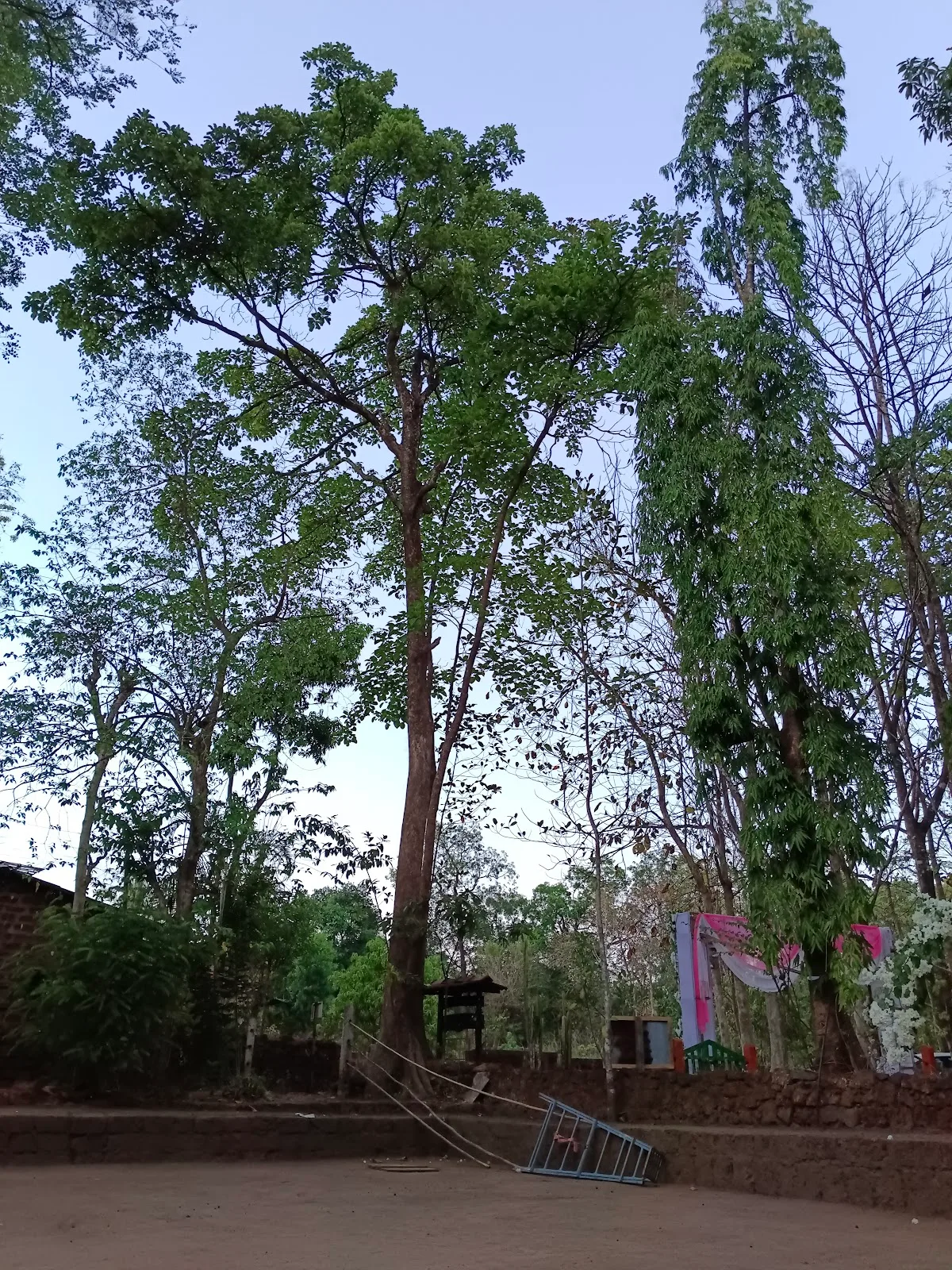 Ananddham Sahanivas (Old age Home)