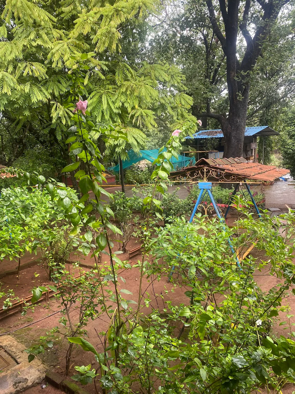 Ananddham Sahanivas (Old age Home)