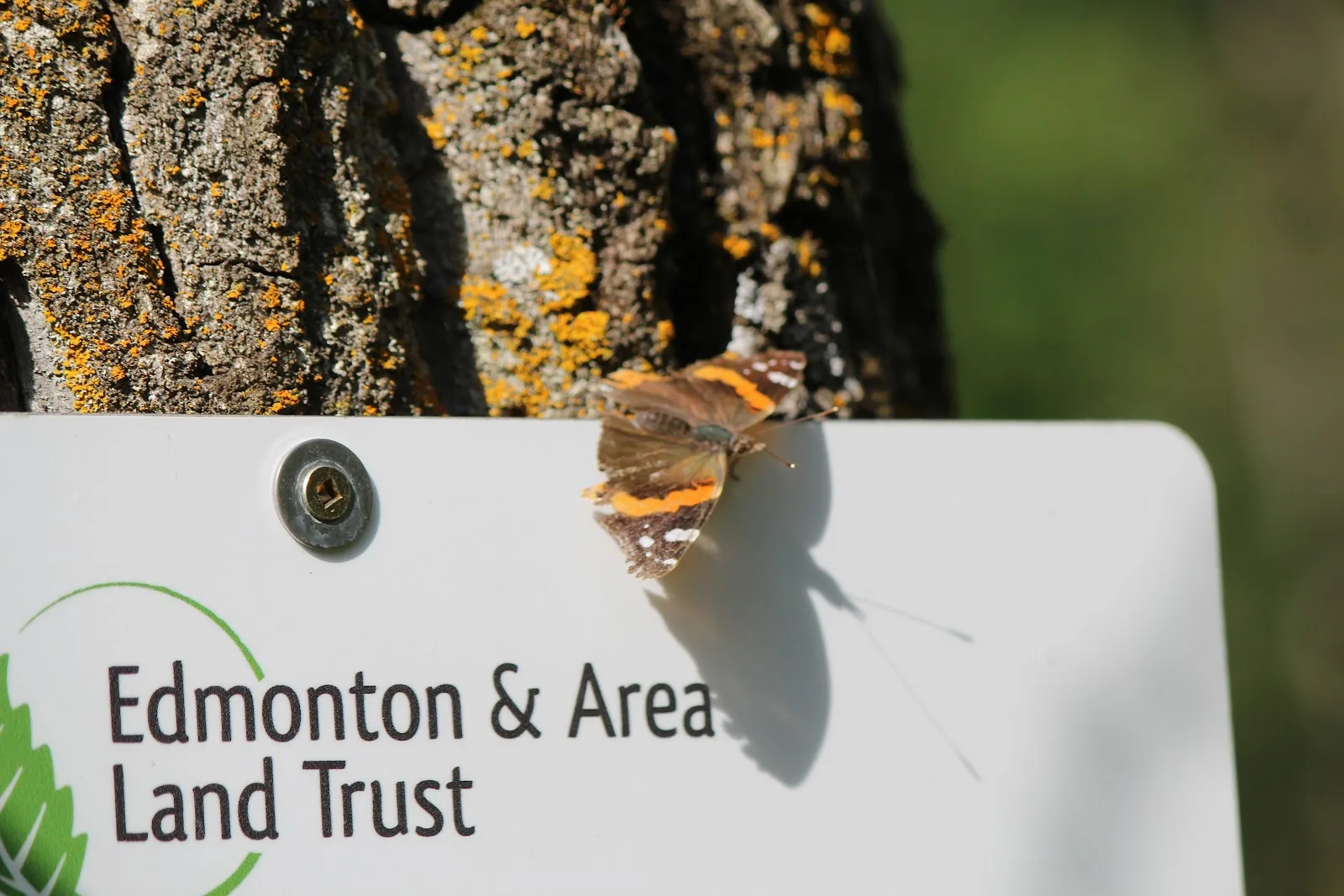 Edmonton and Area Land Trust