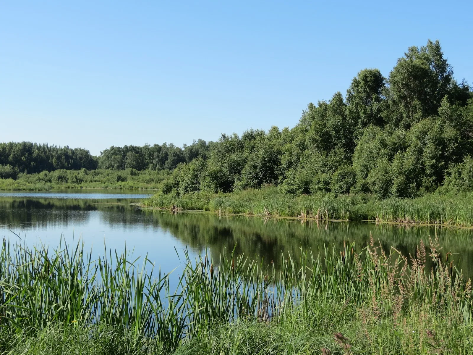Edmonton and Area Land Trust