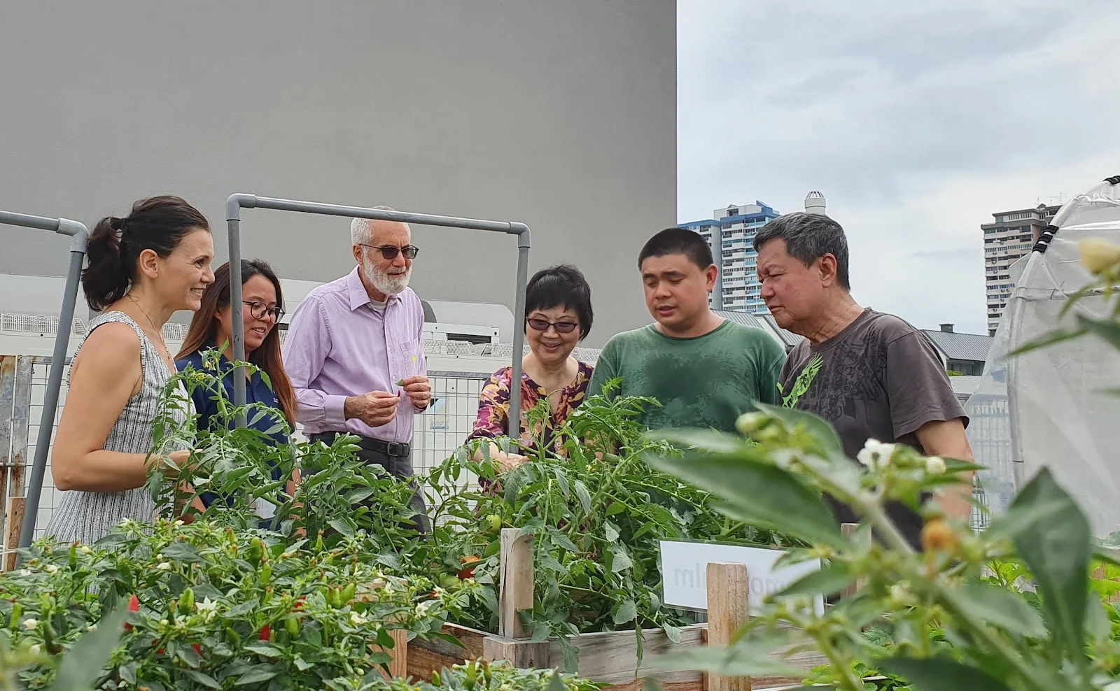 The Community Foundation of Singapore