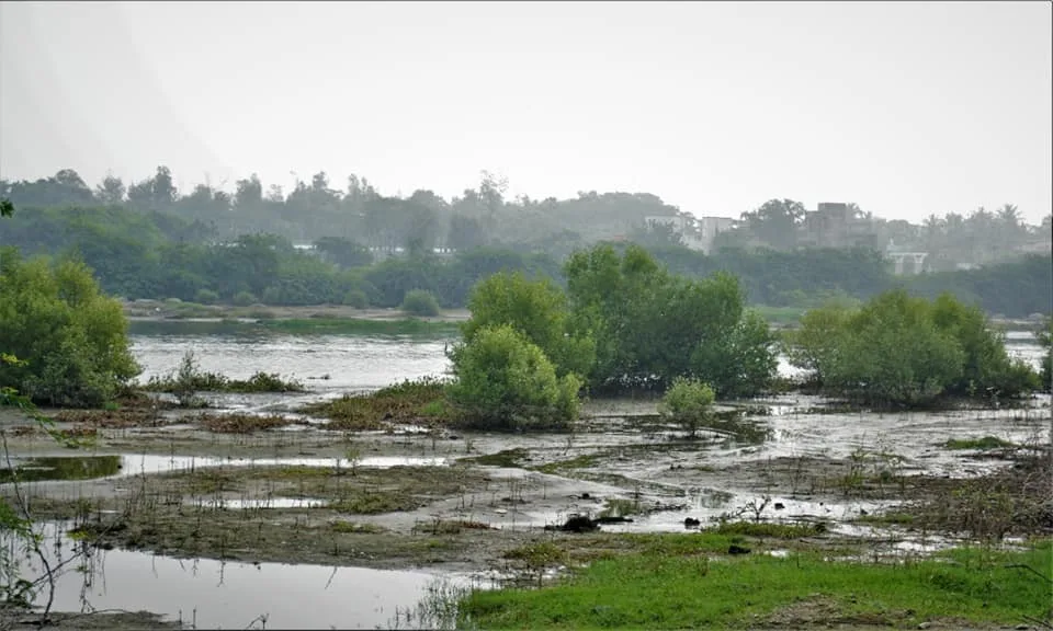 Eco Society India
