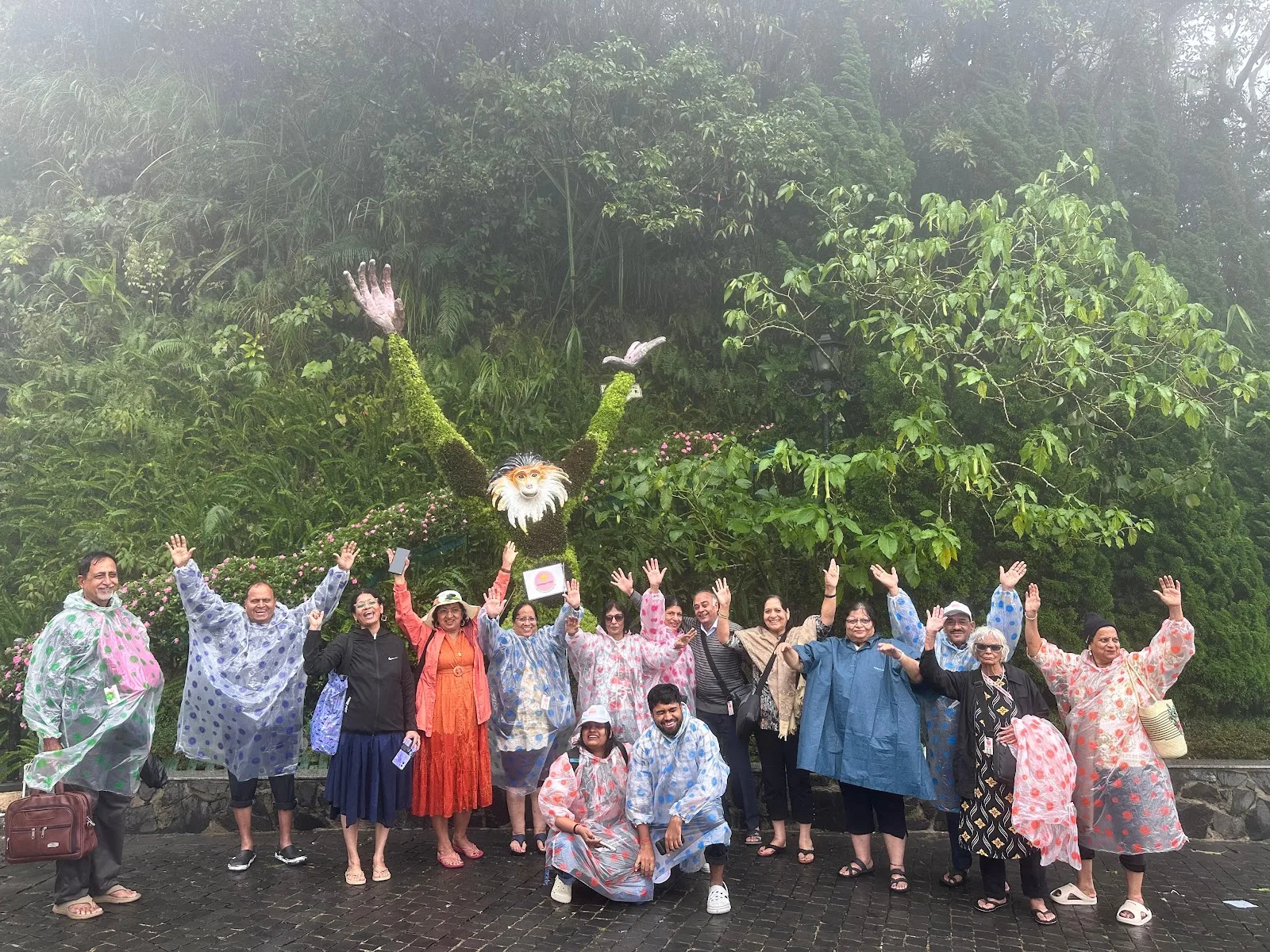GoHappy Club: Senior Citizens Community & Group Trips