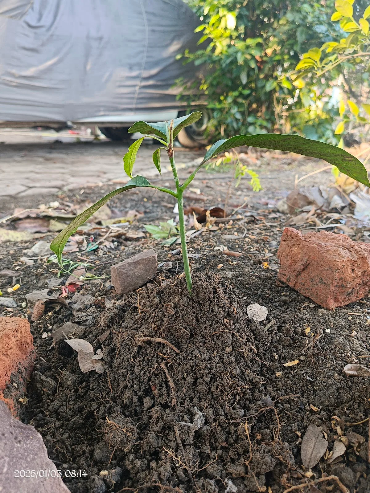 Hamari Pahchan NGO | Delhi
