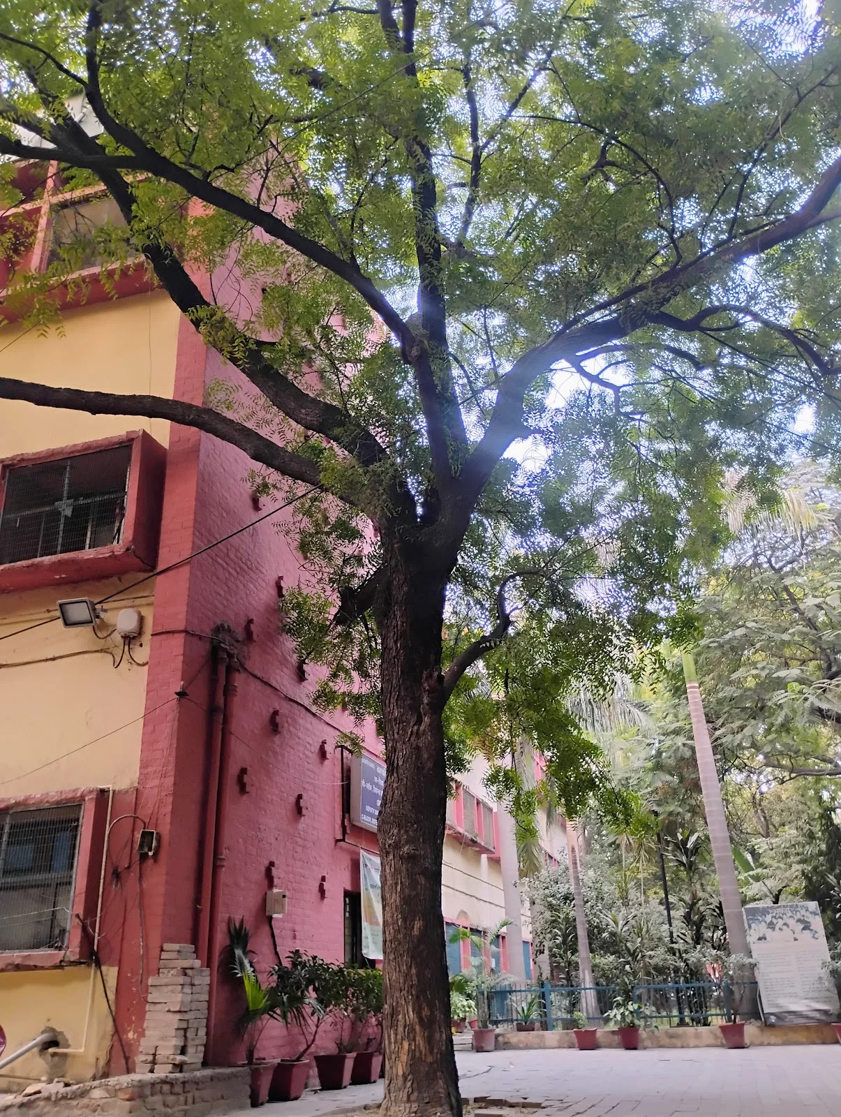 Education Office