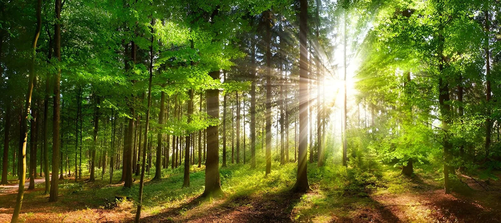 Building Environment (India) Pvt. Ltd.