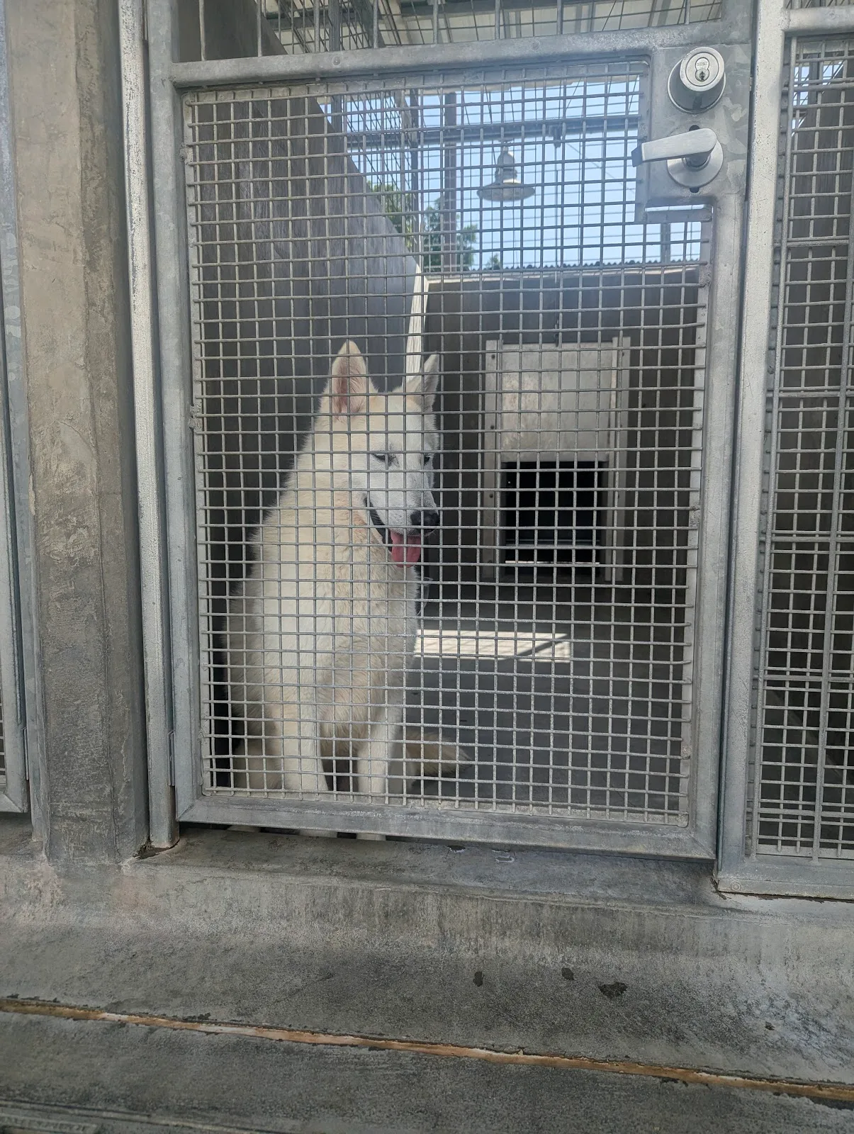 Los Angeles City East Valley Animal Shelter