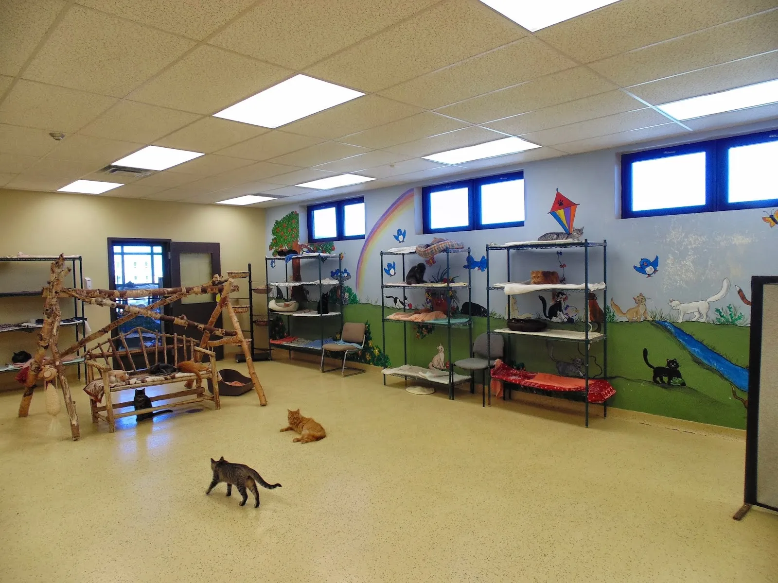 Georgian Triangle Humane Society