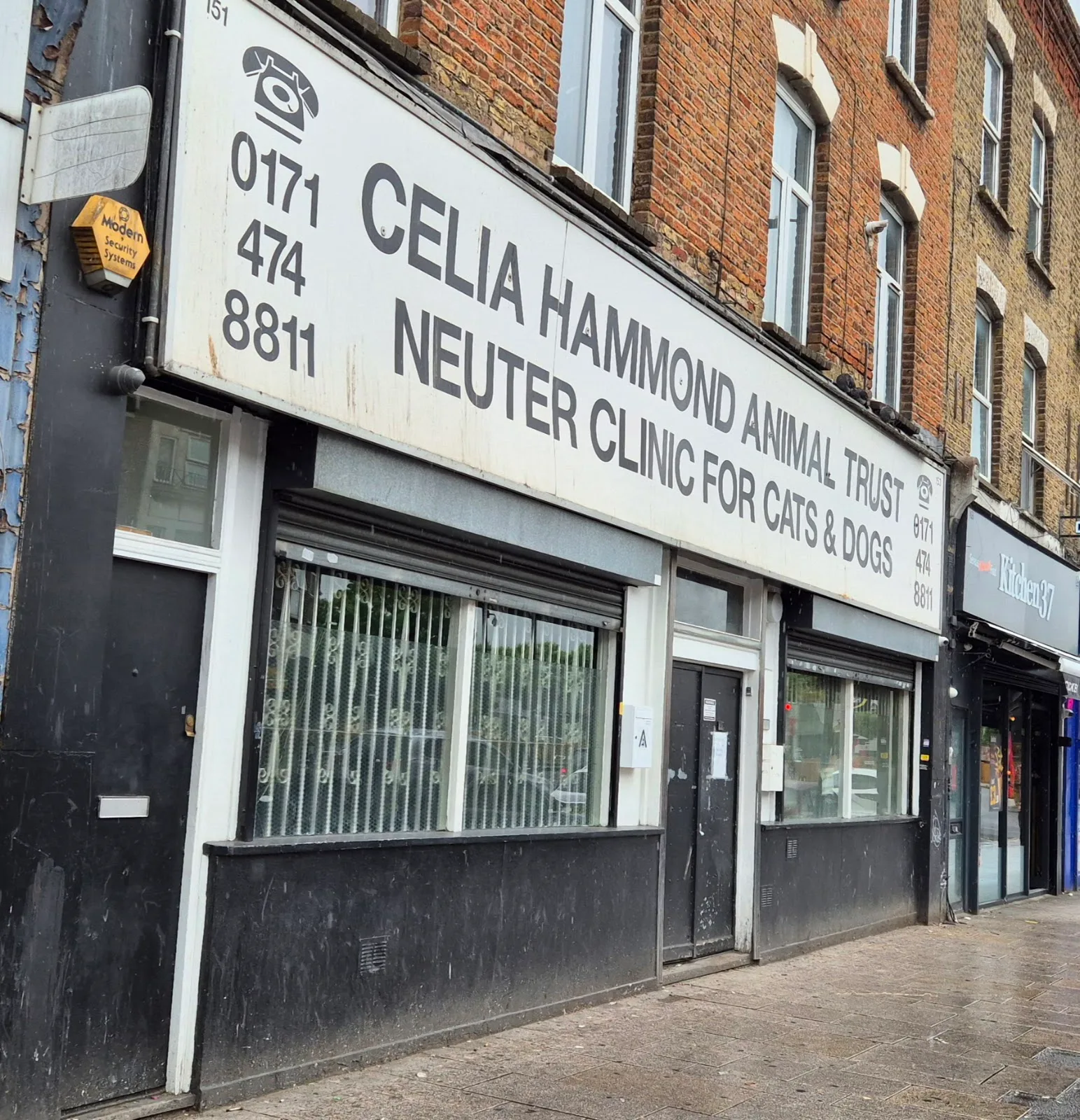 Celia Hammond Animal Trust