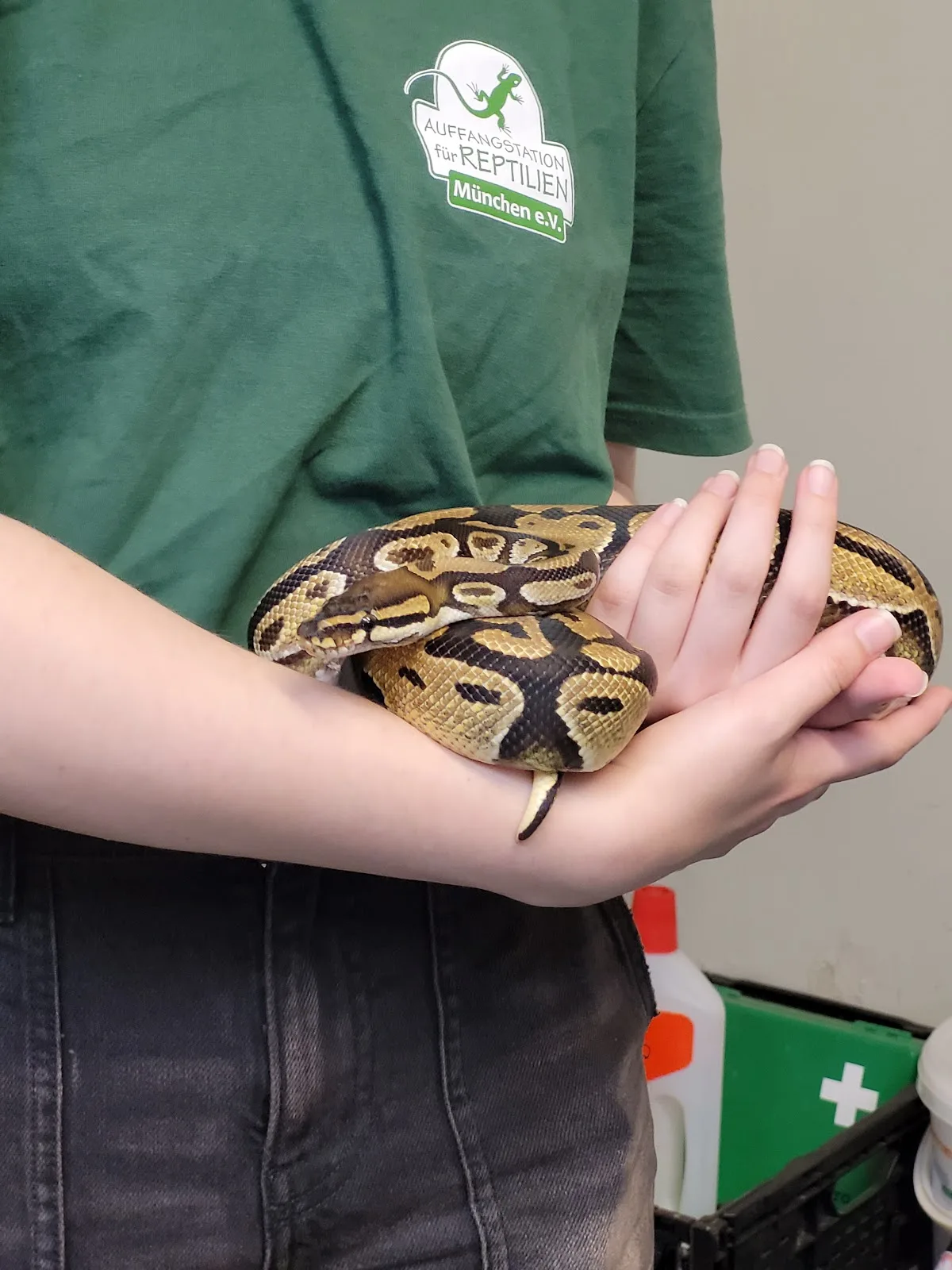 Auffangstation für Reptilien München e.V.