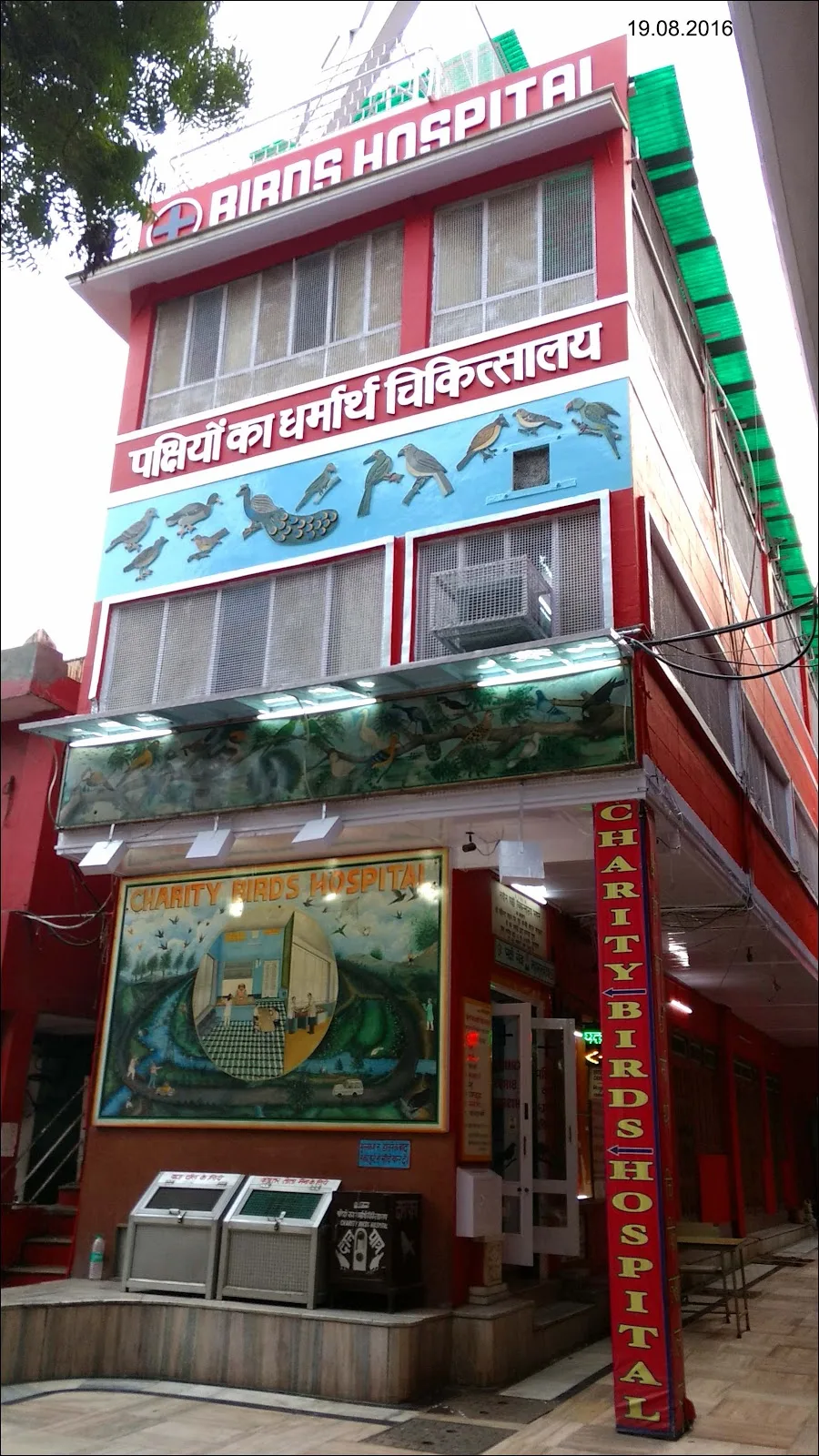 Charity Birds Hospital