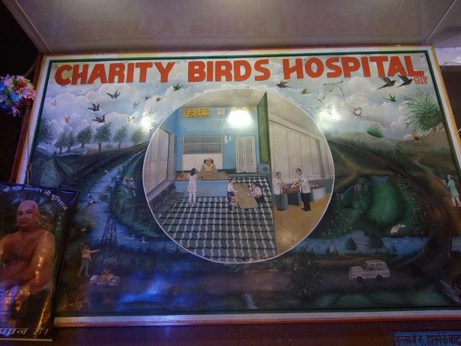 Charity Birds Hospital