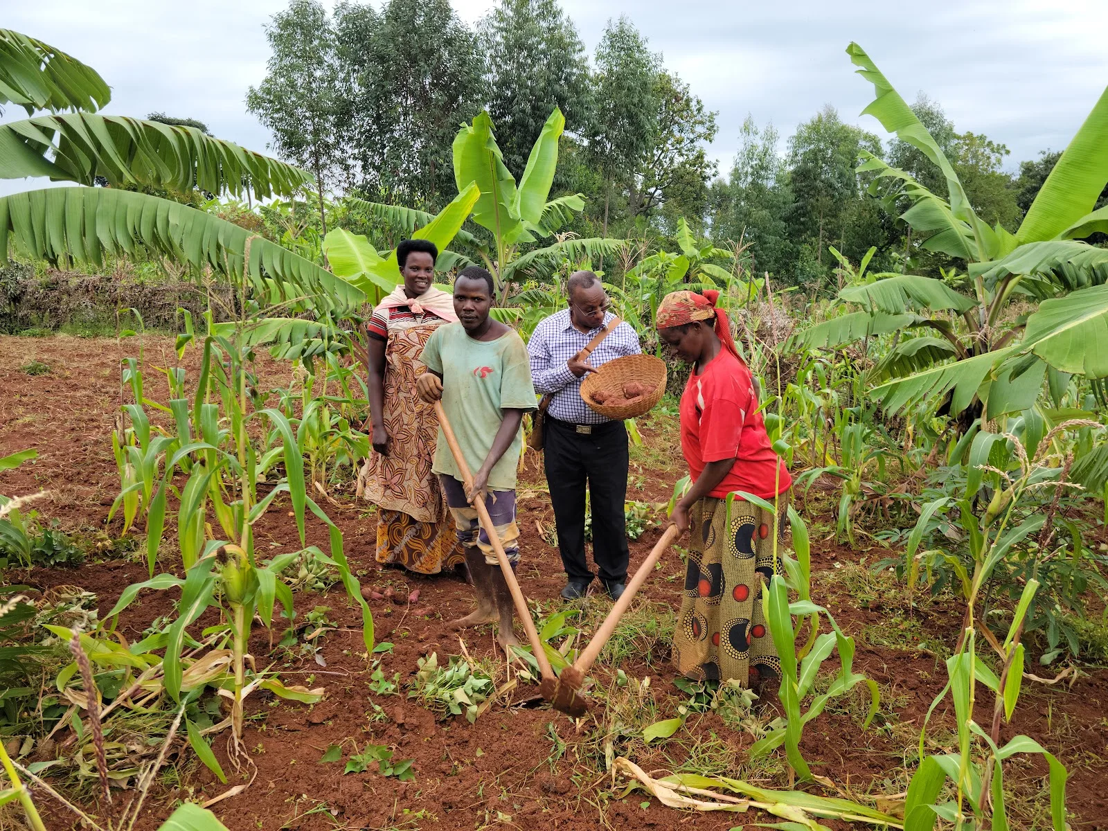 Niragira Community Development Project