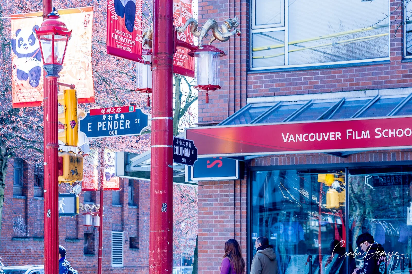 Vancouver Film School