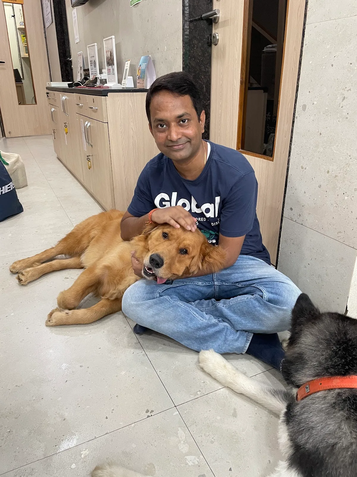 Animal Matter To Me (AMTM) - Animal Hospital