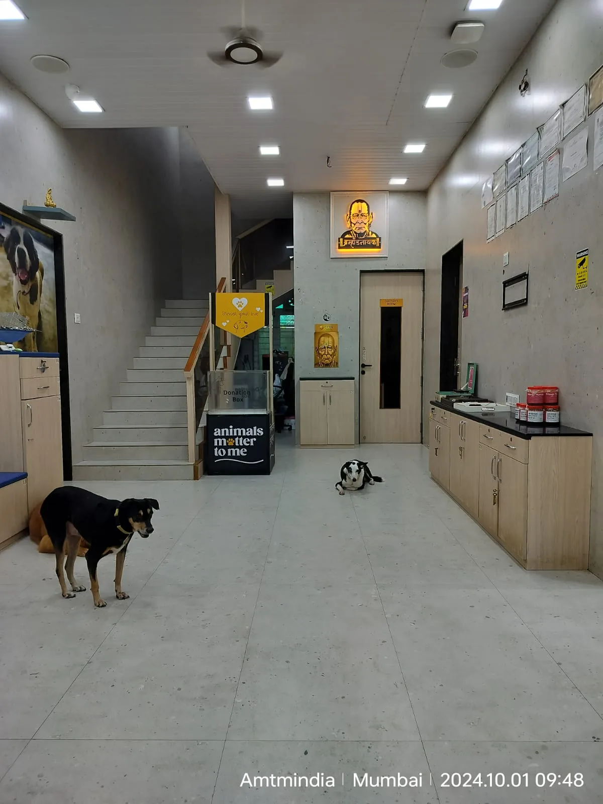 Animal Matter To Me (AMTM) - Animal Hospital