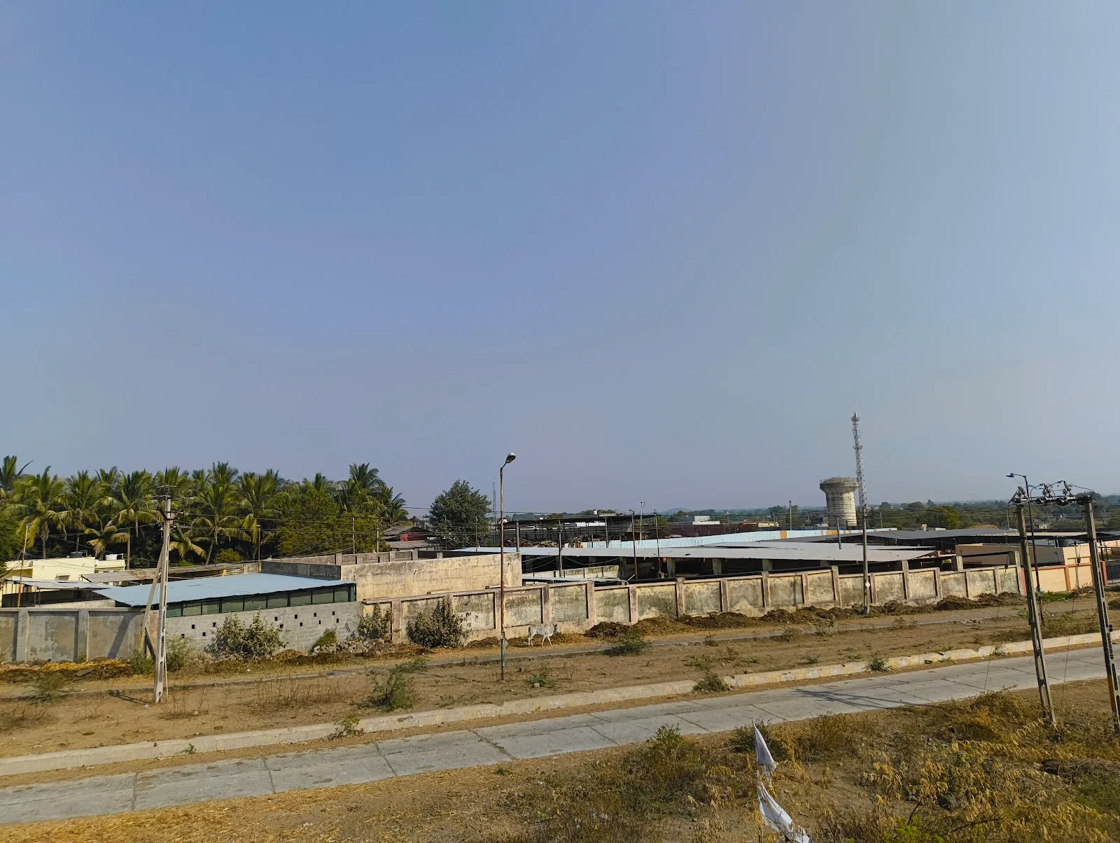 Jamnagar Mahanagar Palika Gau Shala