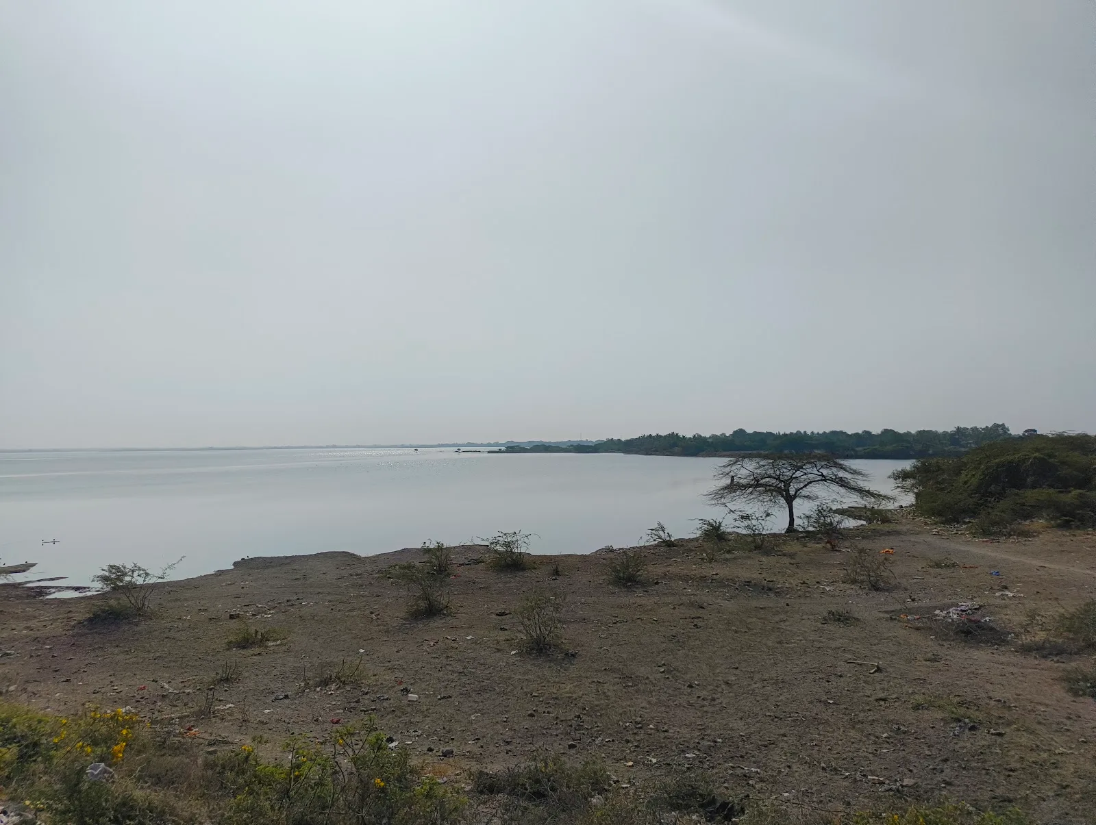 Jamnagar Mahanagar Palika Gau Shala