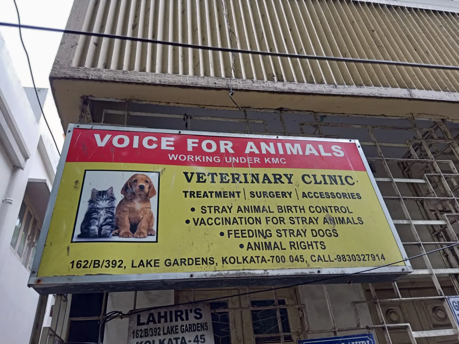 Voice for Animals