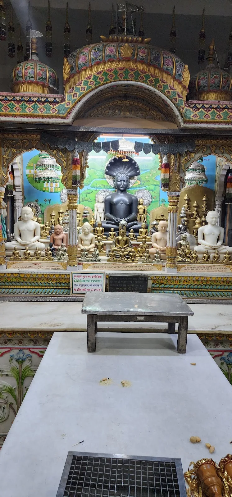 Jain Balashram