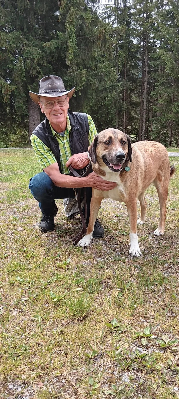 Hund Sucht Hütte - Tierschutzverein