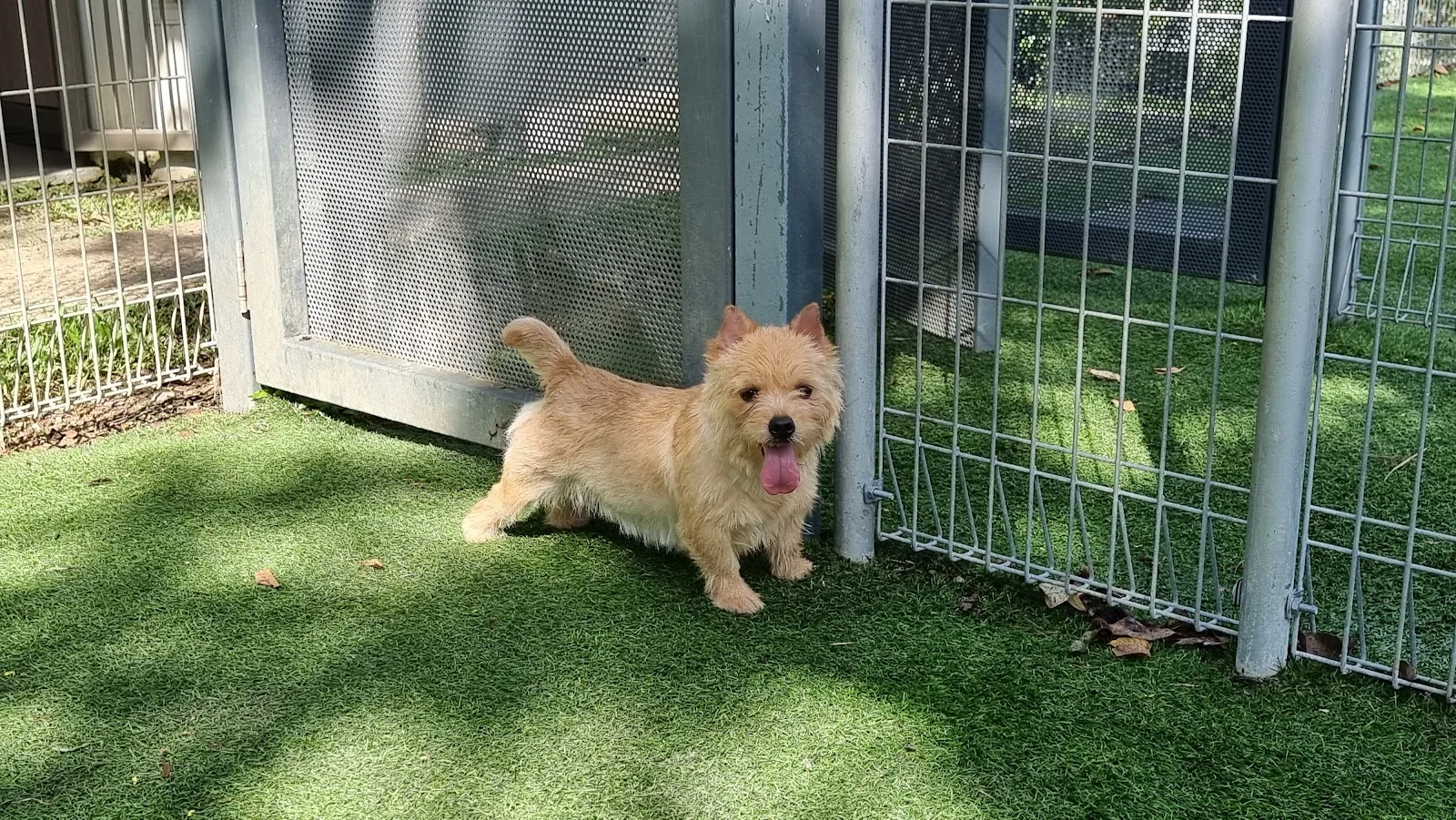 AVS Animal Quarantine Centre (AQC)