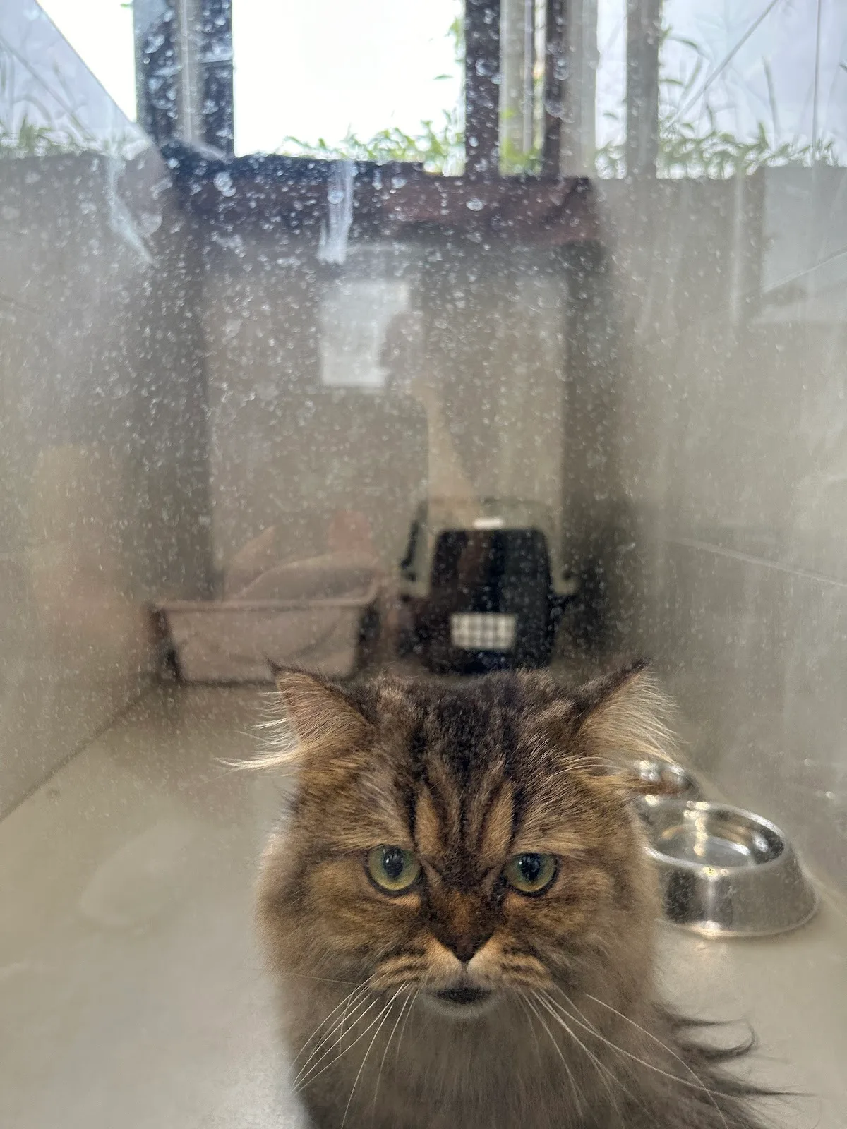 AVS Animal Quarantine Centre (AQC)