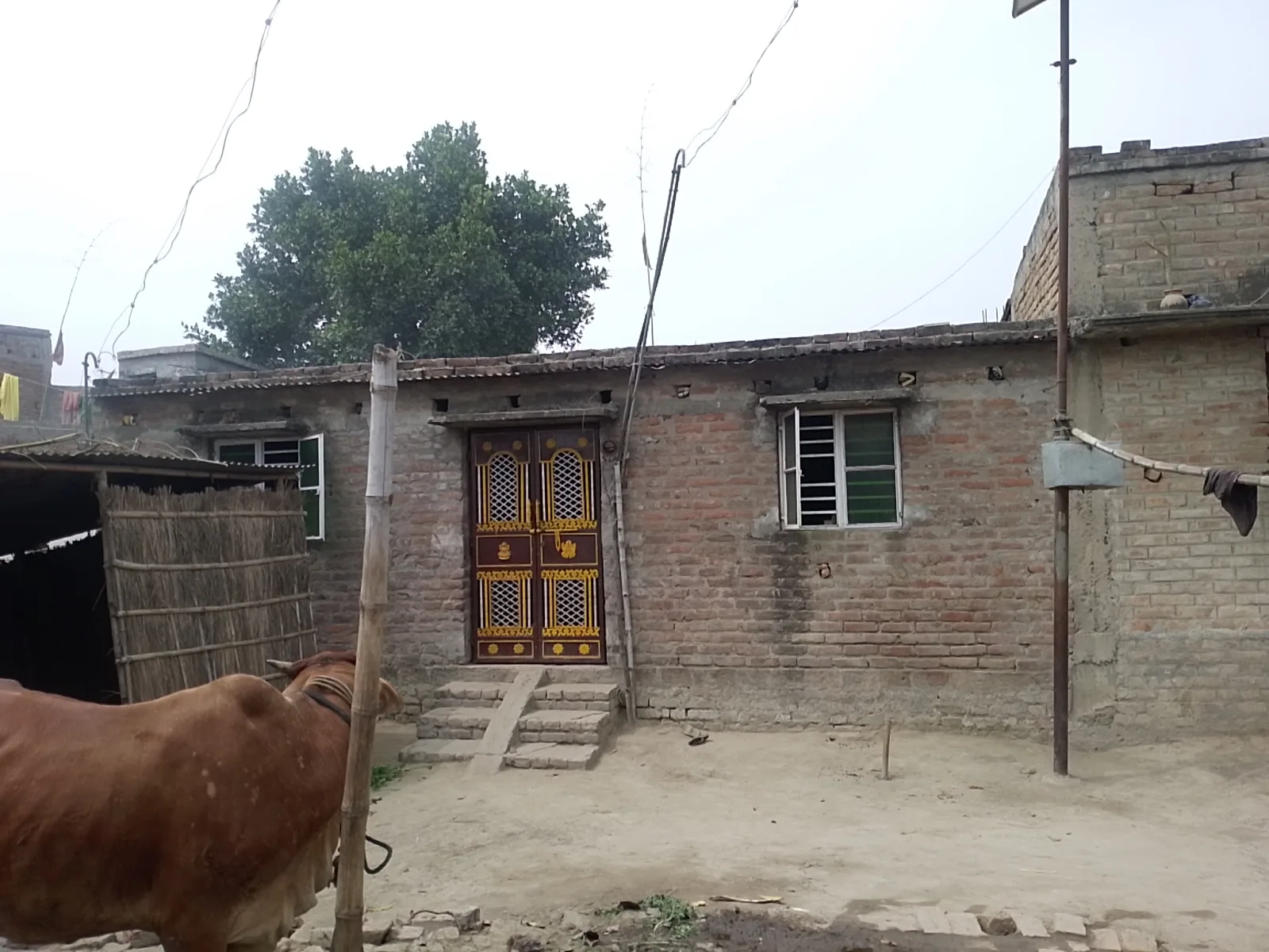 Defence Officials Welfare Organisation (DOWO)