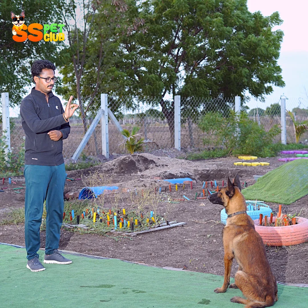 The SS Pet Club