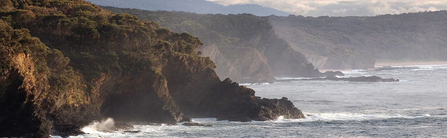 Nature Conservation Council of NSW