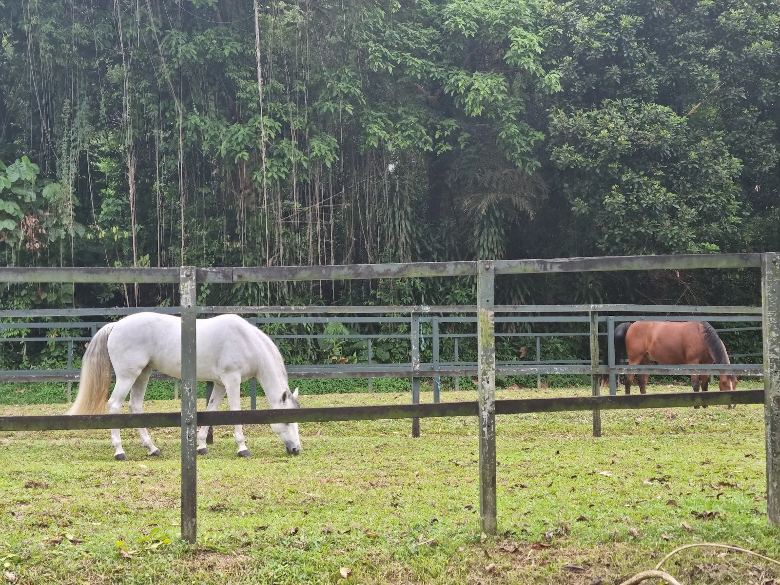 RDA Centre